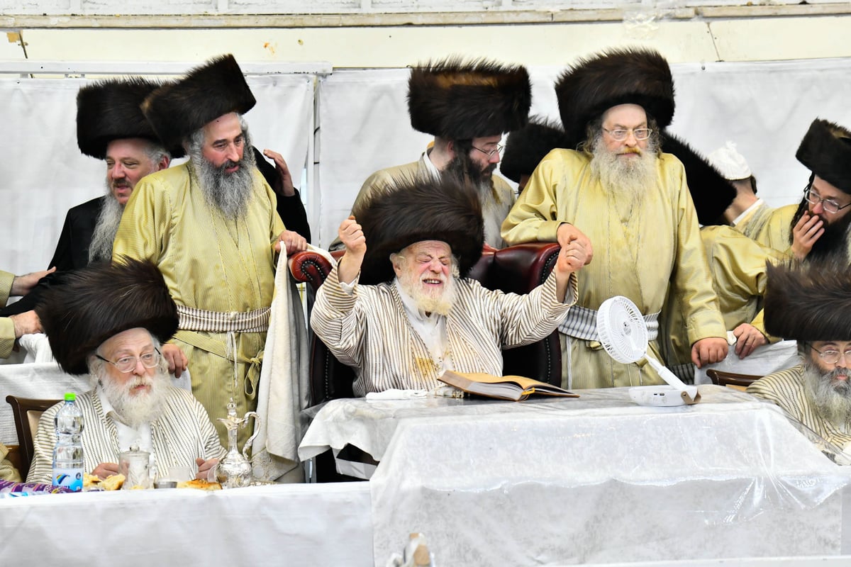 פורים בחצה"ק תולדות אהרן