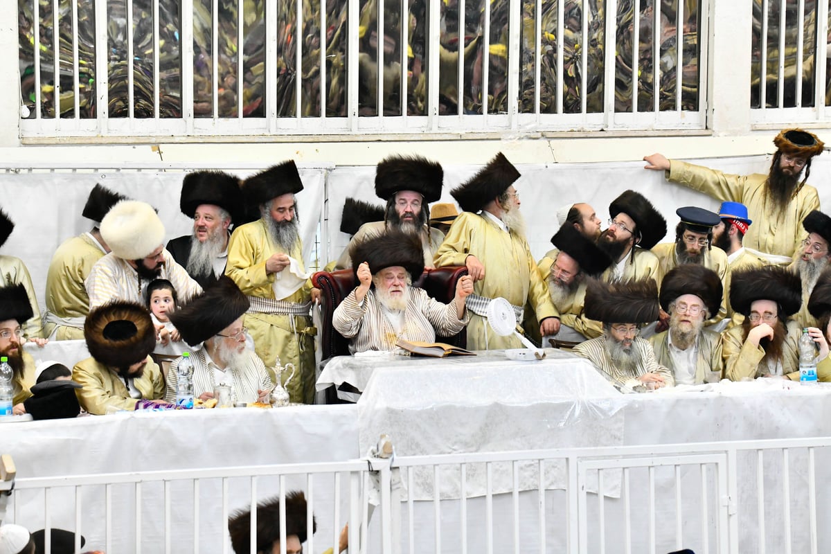 פורים בחצה"ק תולדות אהרן