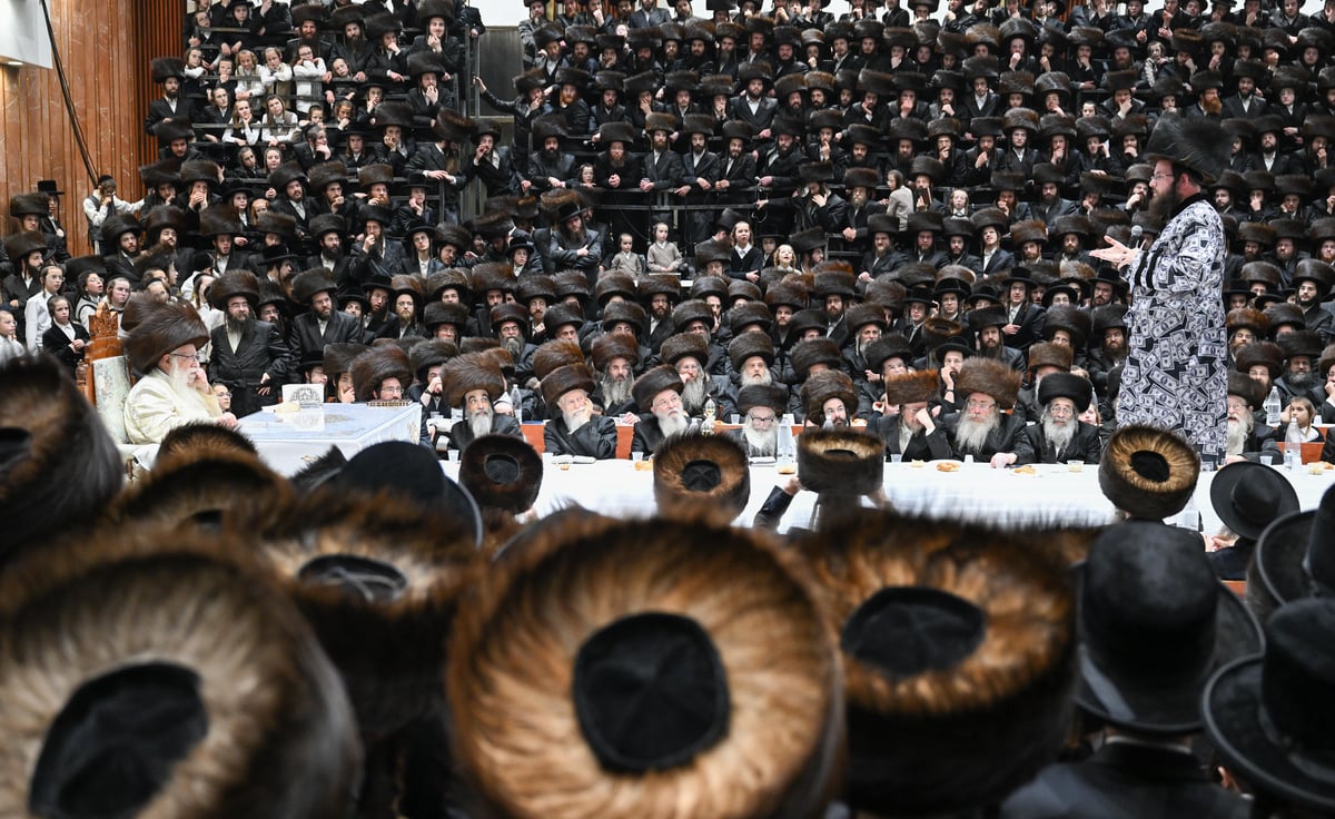 פורים בחצה"ק צאנז