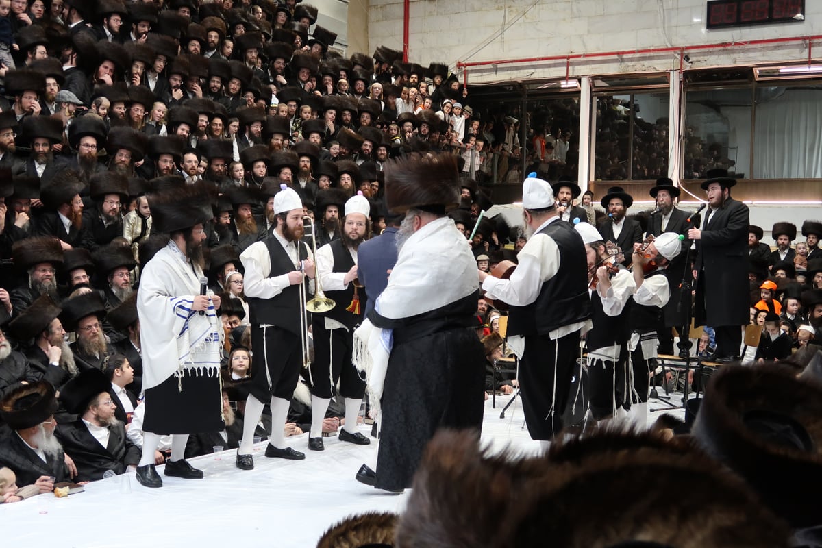 פורים בחצה"ק סערט ויז'ניץ