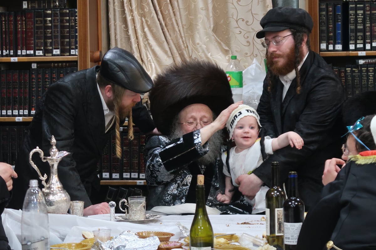 פורים בחצה"ק סטריקוב ירושלים