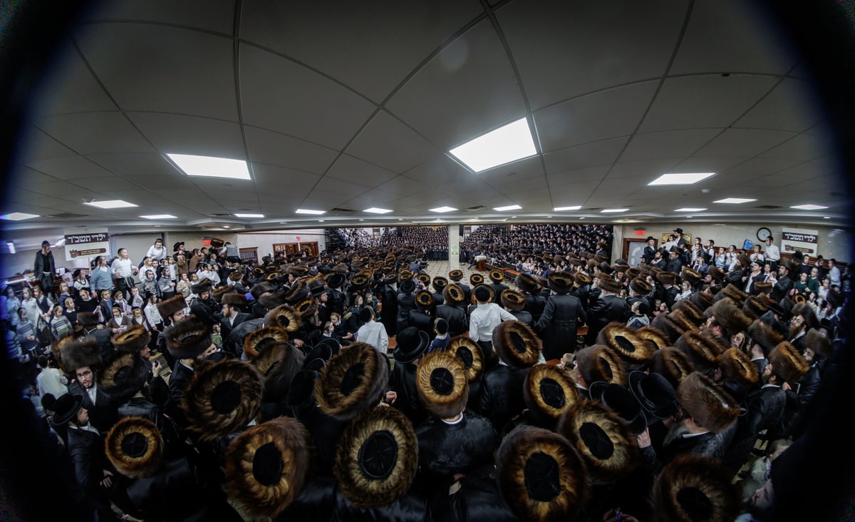 הכנסת ספר תורה לביהמ"ד סאטמר מונסי 