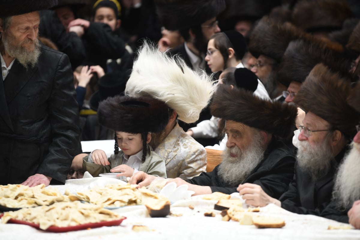 פורים בחצה"ק בעלזא