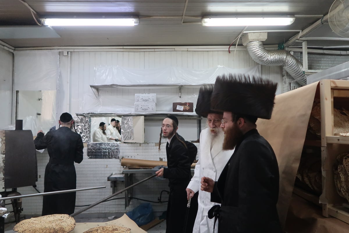 האדמו"ר מטשארנוביל באפיית מצות