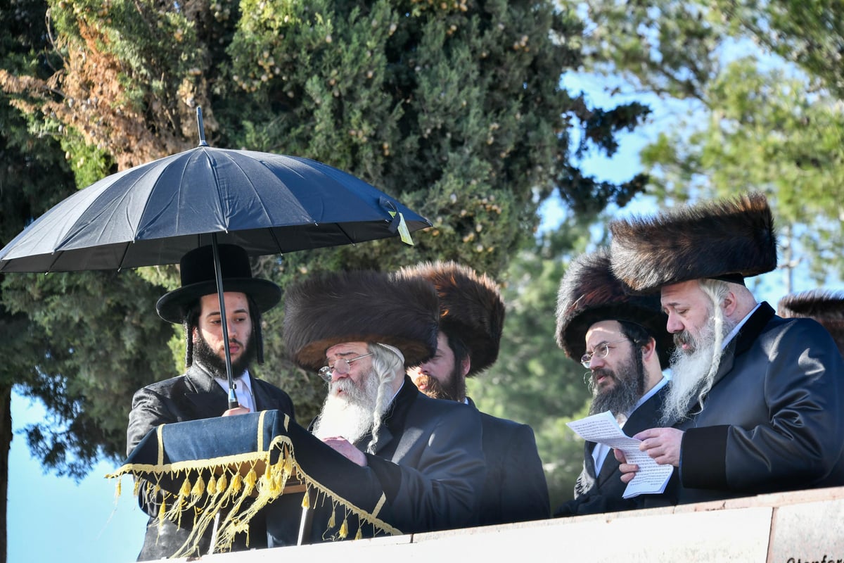 האדמו"ר מקרעטשניף י-ם מול הר הצופים