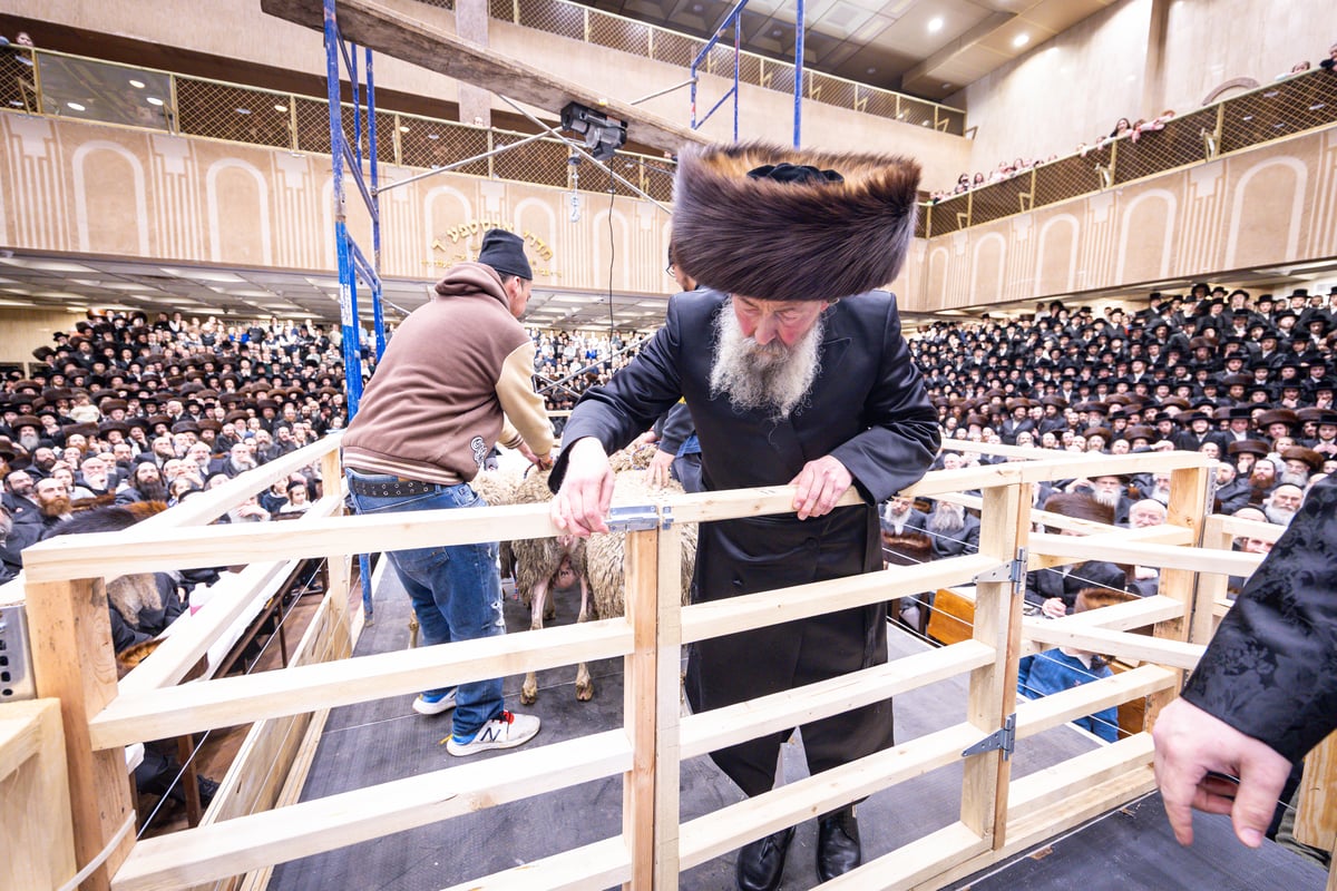 מעמד מתנת כהונה בבאבוב