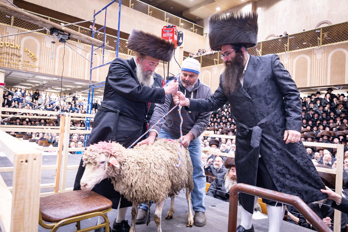 מעמד מתנת כהונה בבאבוב