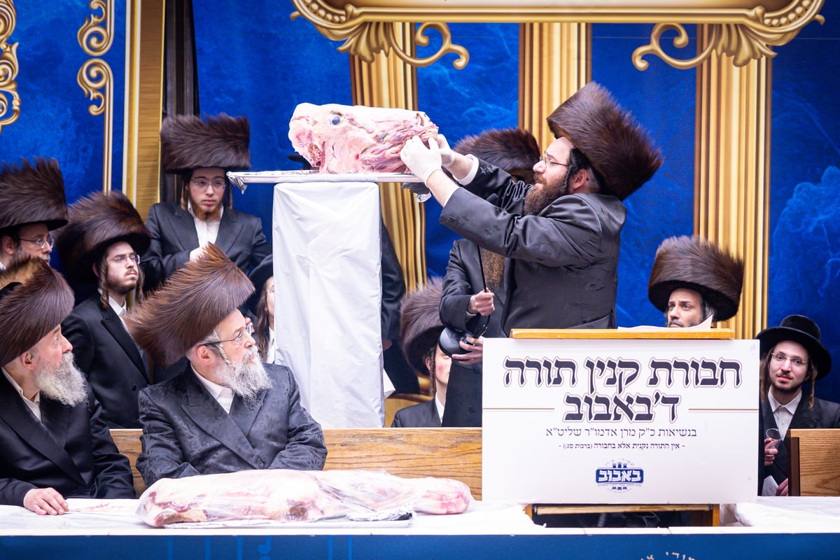 מעמד מתנת כהונה בבאבוב