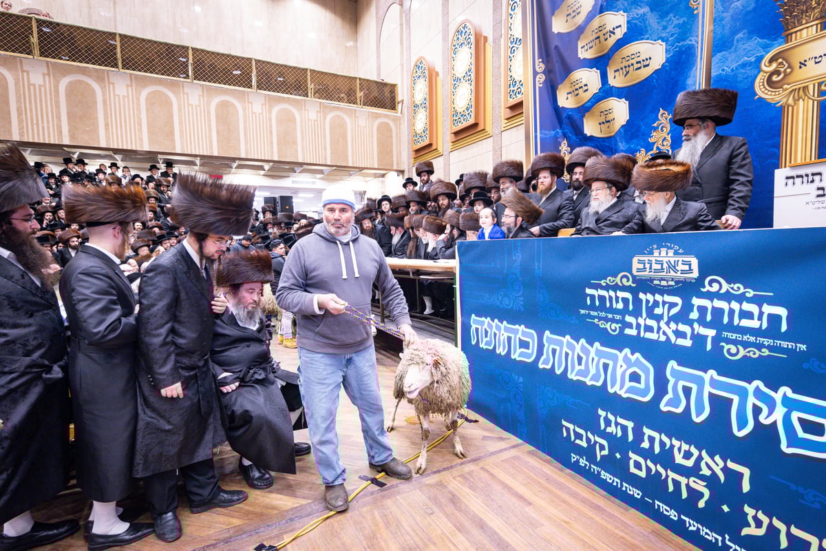 מעמד מתנת כהונה בבאבוב