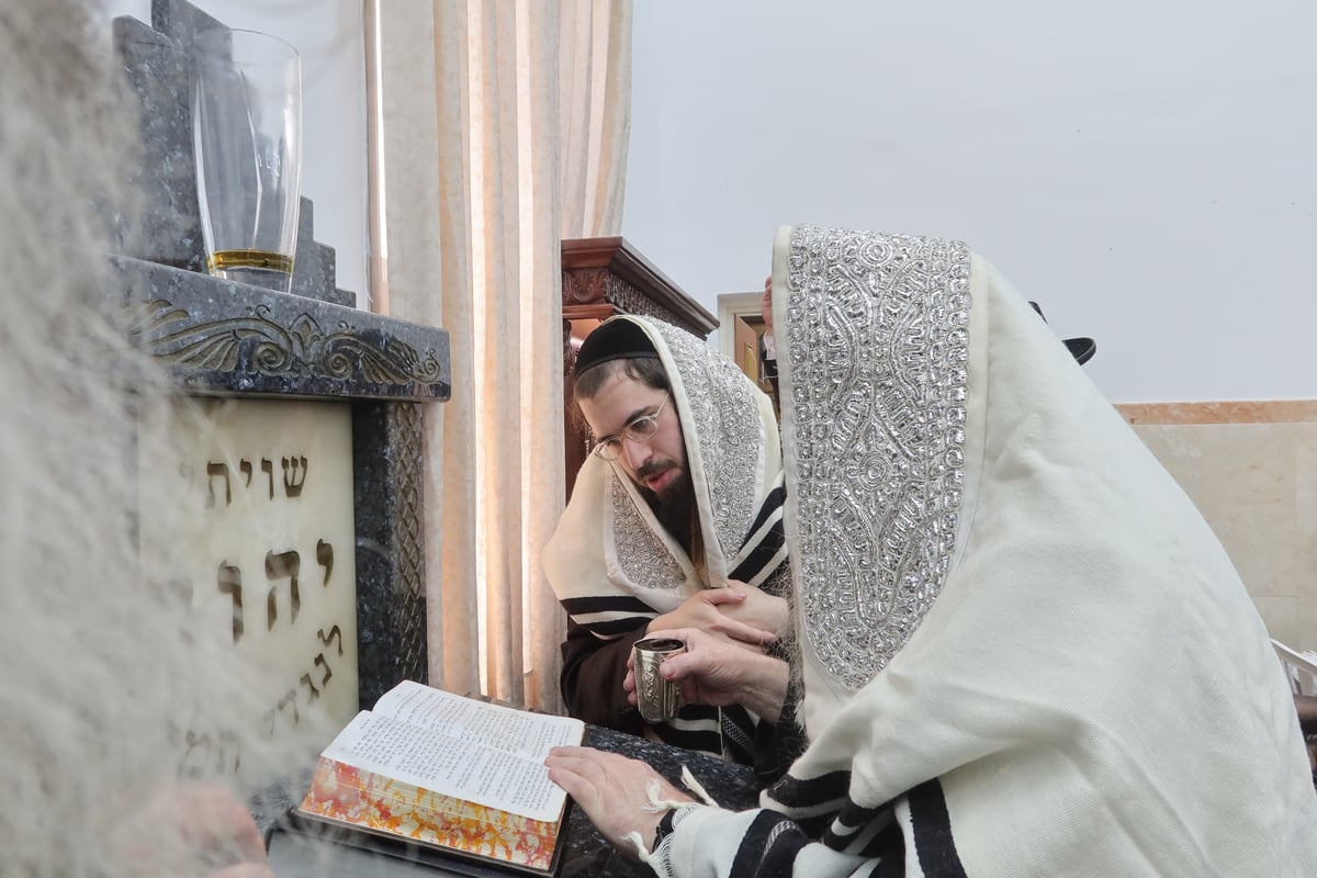 שמחת הברית בחצה"ק טשארנאביל - משכנות הרועים