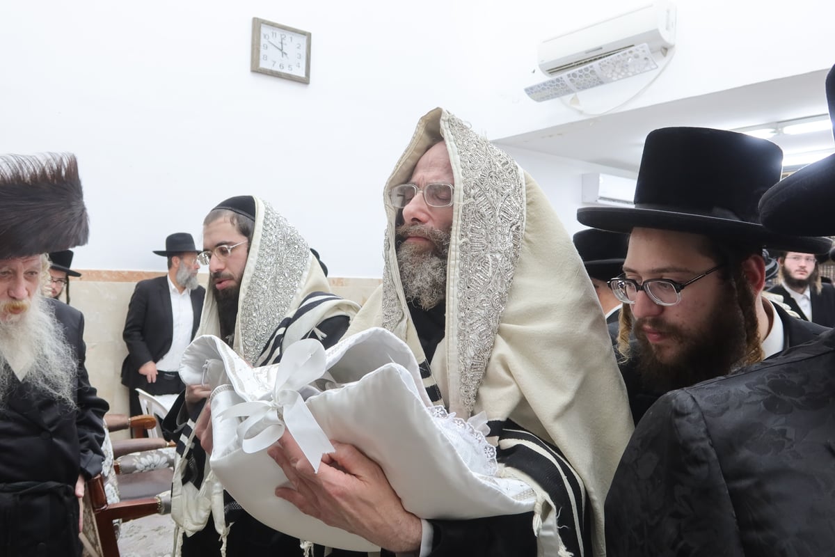 שמחת הברית בחצה"ק טשארנאביל - משכנות הרועים