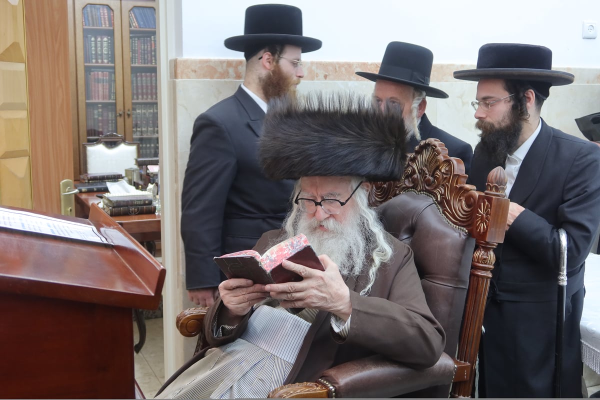 שמחת הברית בחצה"ק טשארנאביל - משכנות הרועים