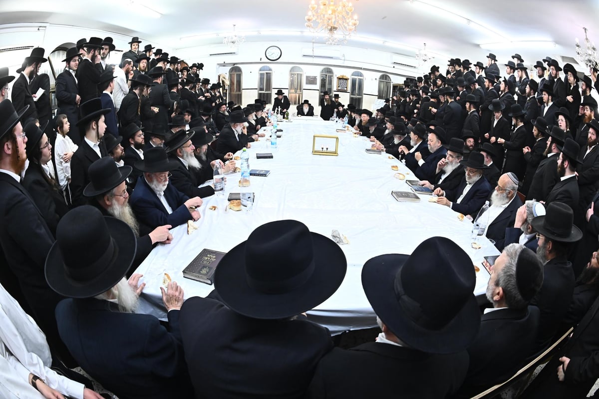 הילולת בעל ה'אמרי אש' ממודז'יץ