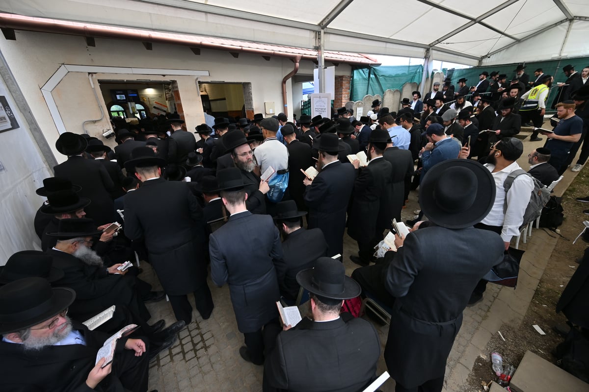  מראות הילולת הרה"ק רבי ישעל'ע מקרעסטיר - תשפ"ה 