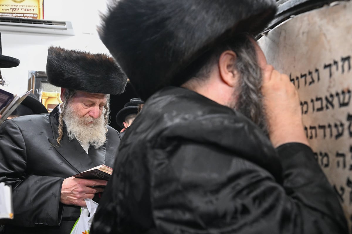 הילולת בעל ה'אמרי יוסף' מספינקא זי"ע