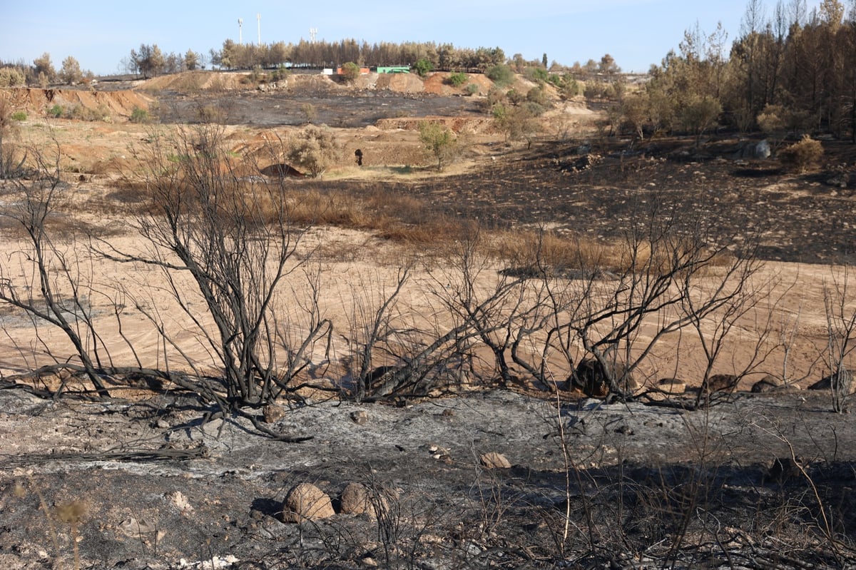 מראות ההרס מהשריפה באיזור ירושלים