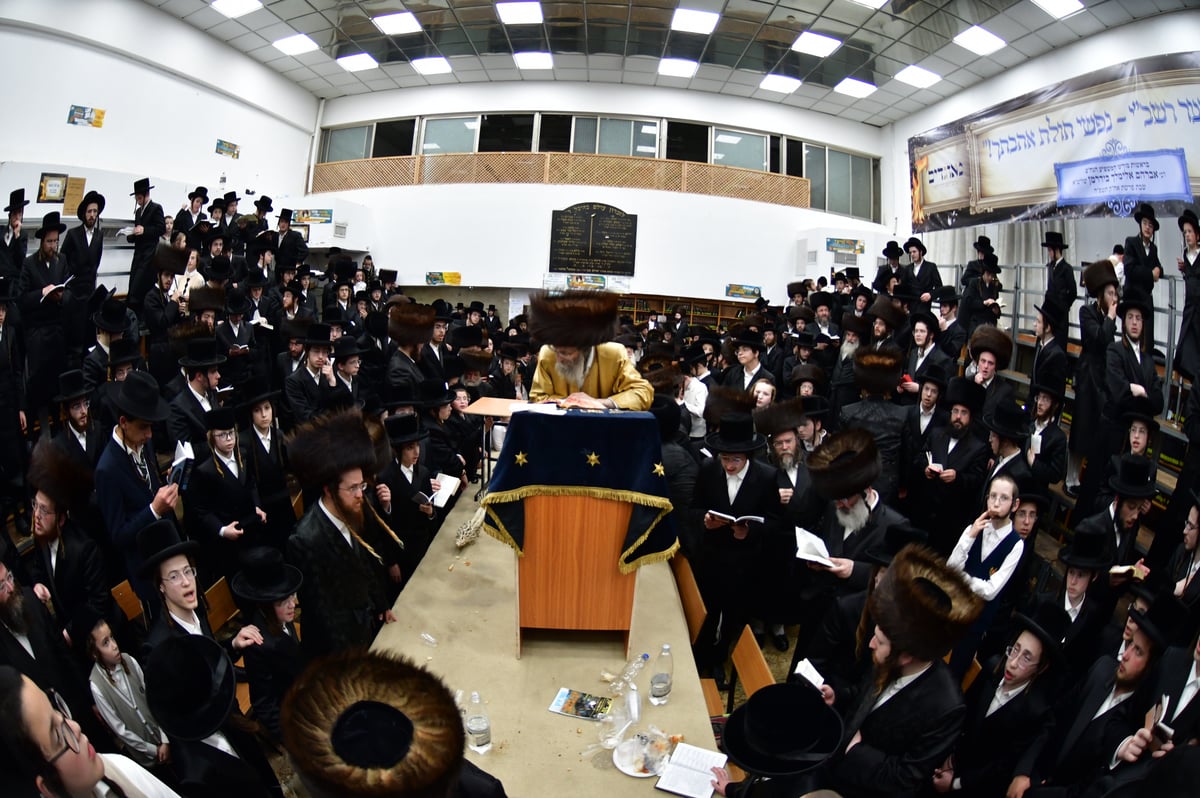 הרה"צ רבי אלימלך בידרמן שבת באשדוד
