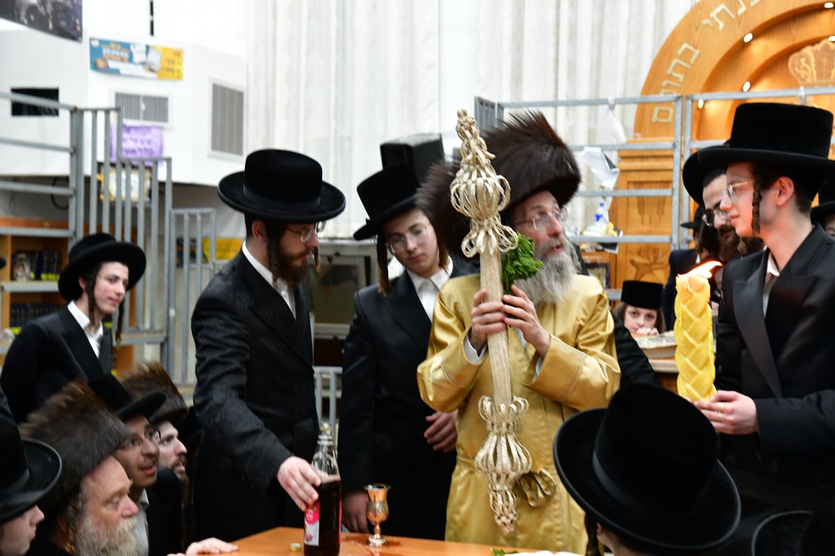 הרה"צ רבי אלימלך בידרמן שבת באשדוד