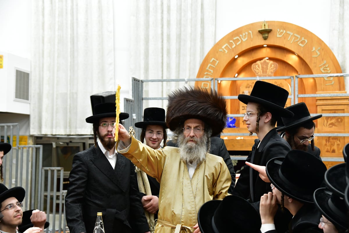 הרה"צ רבי אלימלך בידרמן שבת באשדוד