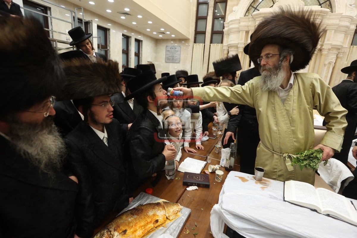 הרה"צ רבי אלימלך בידרמן בהילולת ה'אור החיים' הקדוש