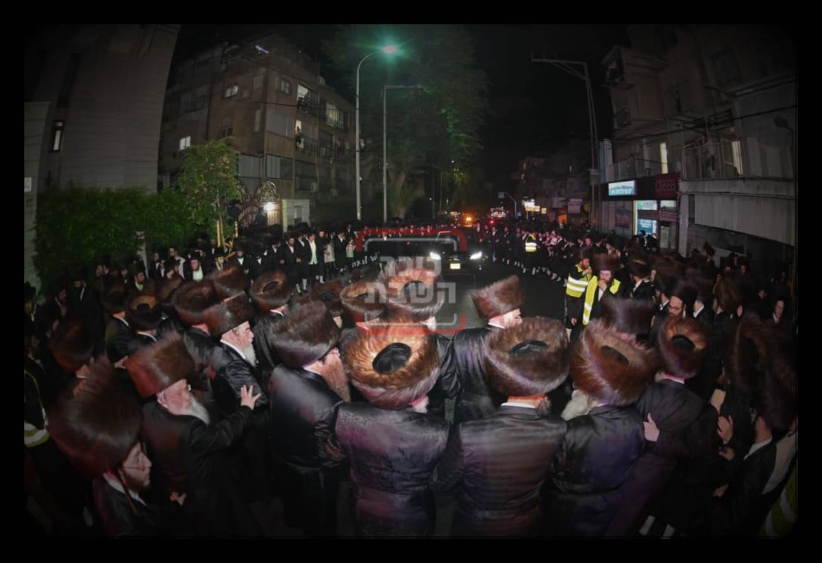 שבת שבע ברכות בחצה"ק ויז'ניץ