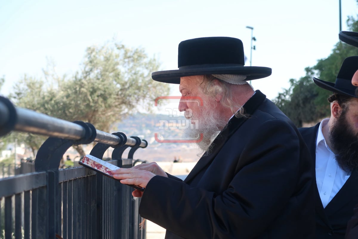 עליה לציון ה'אור החיים' הקדוש ביום ההילולא