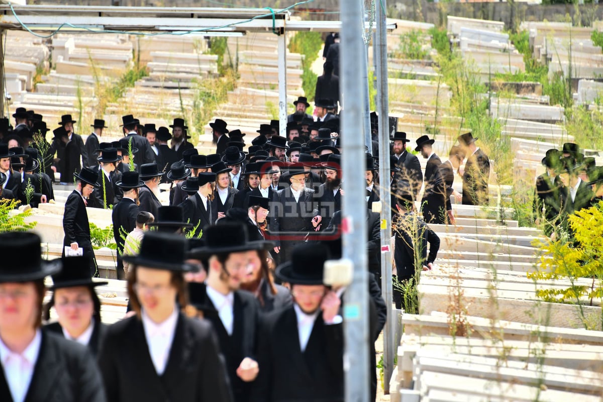 האדמו"ר מסערט ויז'ניץ בציון אביו זצ"ל