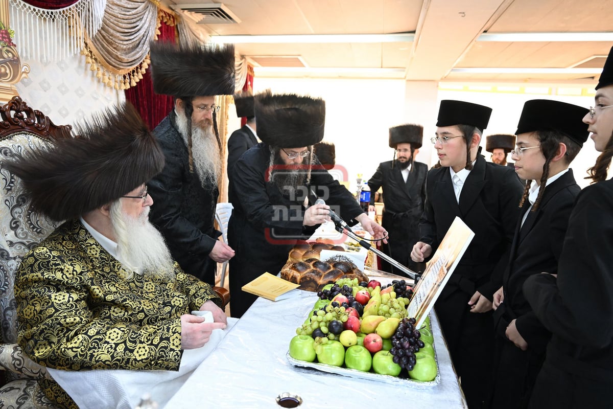 שמחת השבע ברכות בשילוב שמחת חלאקה