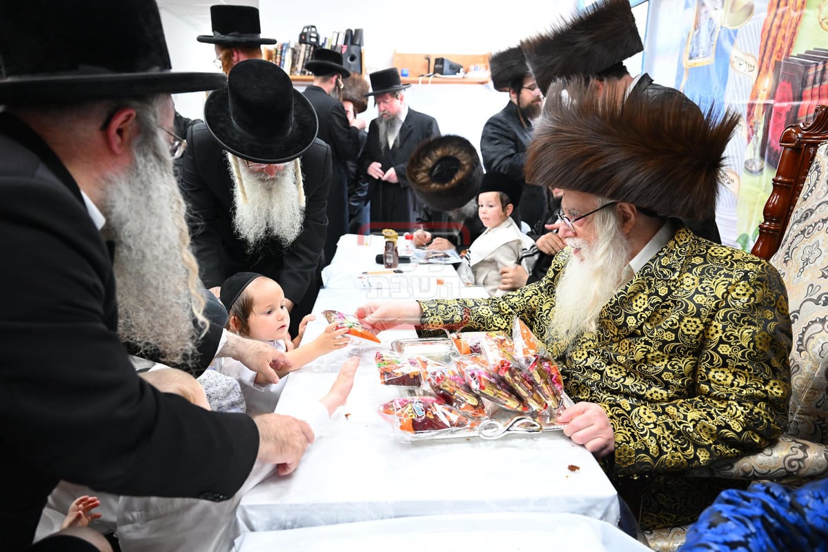 שמחת השבע ברכות בשילוב שמחת חלאקה