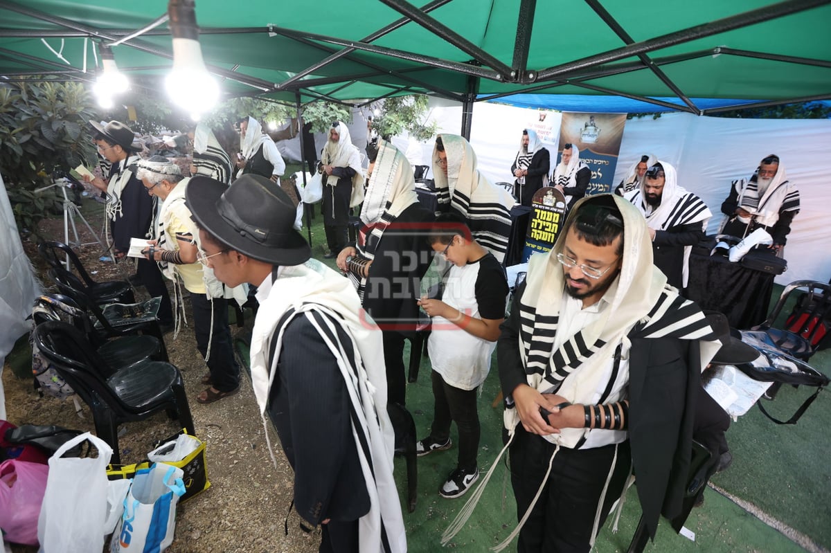 המונים בתפילה בציון הצדיק בעג'ור