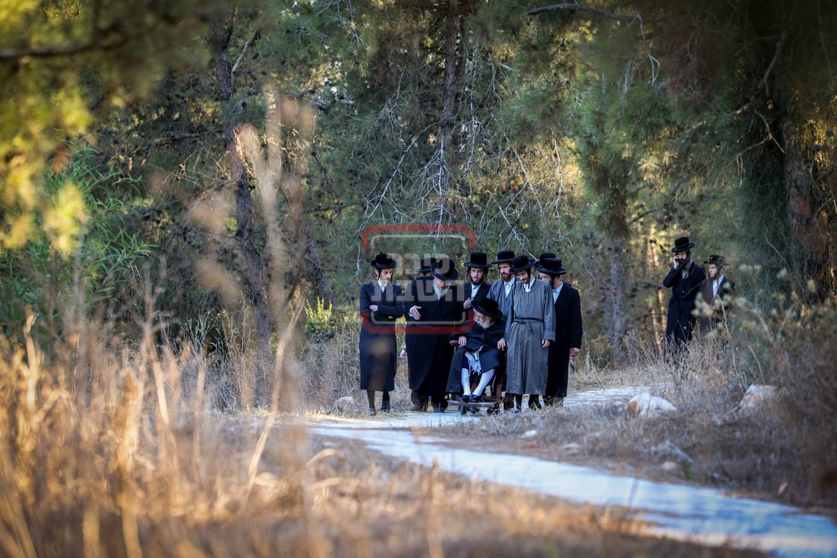 האדמו"ר מתולדות אברהם יצחק בנאות דשא ב'הר יונה'