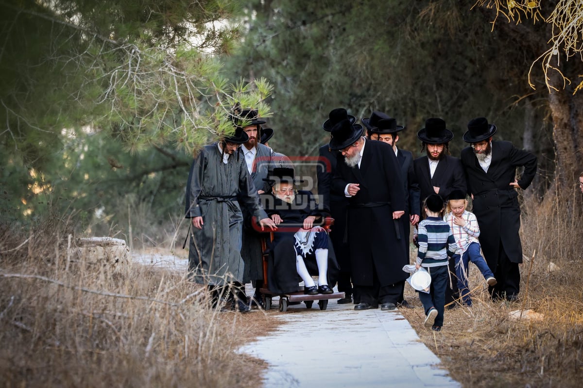 האדמו"ר מתולדות אברהם יצחק בנאות דשא ב'הר יונה'