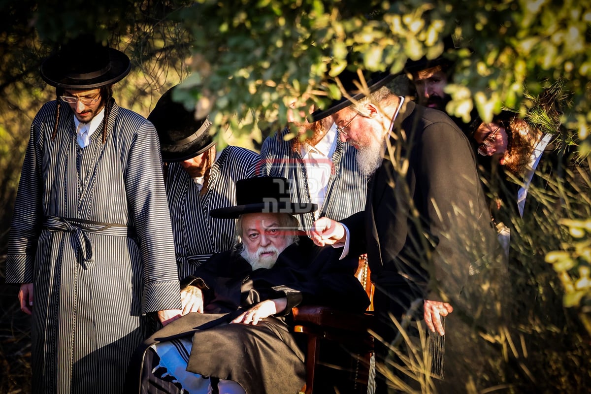 האדמו"ר מתולדות אברהם יצחק בנאות דשא ב'הר יונה'