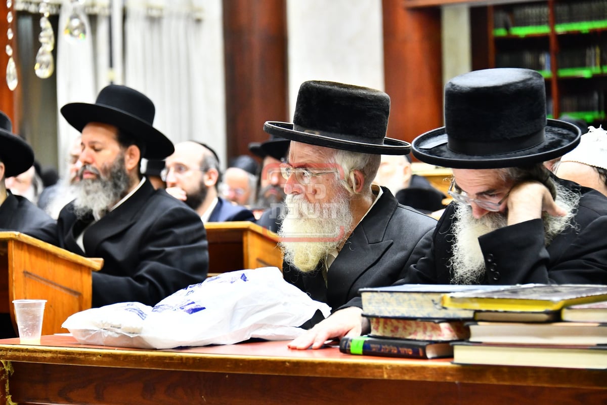 הכינוס השנתי בראשות הגרי"מ שטרן