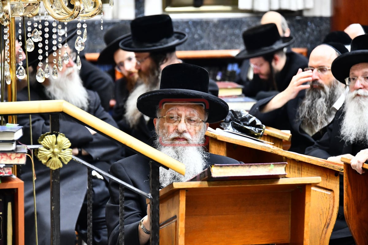 הכינוס השנתי בראשות הגרי"מ שטרן