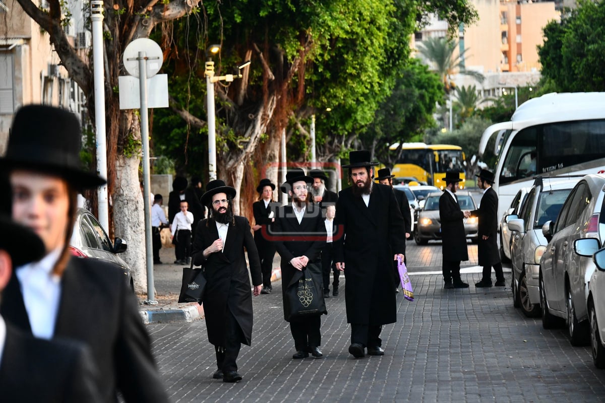 הילולא קדישא בבאבוב