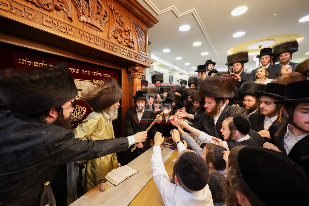 הגה"צ רבי אלימלך בידרמן בטבריה