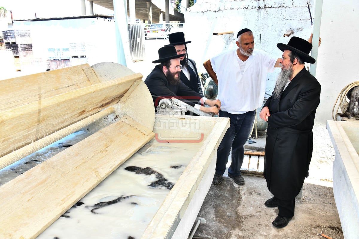 האדמו"ר משבט הלוי בסיור במפעל עיבוד עורות לתשמישי קדושה