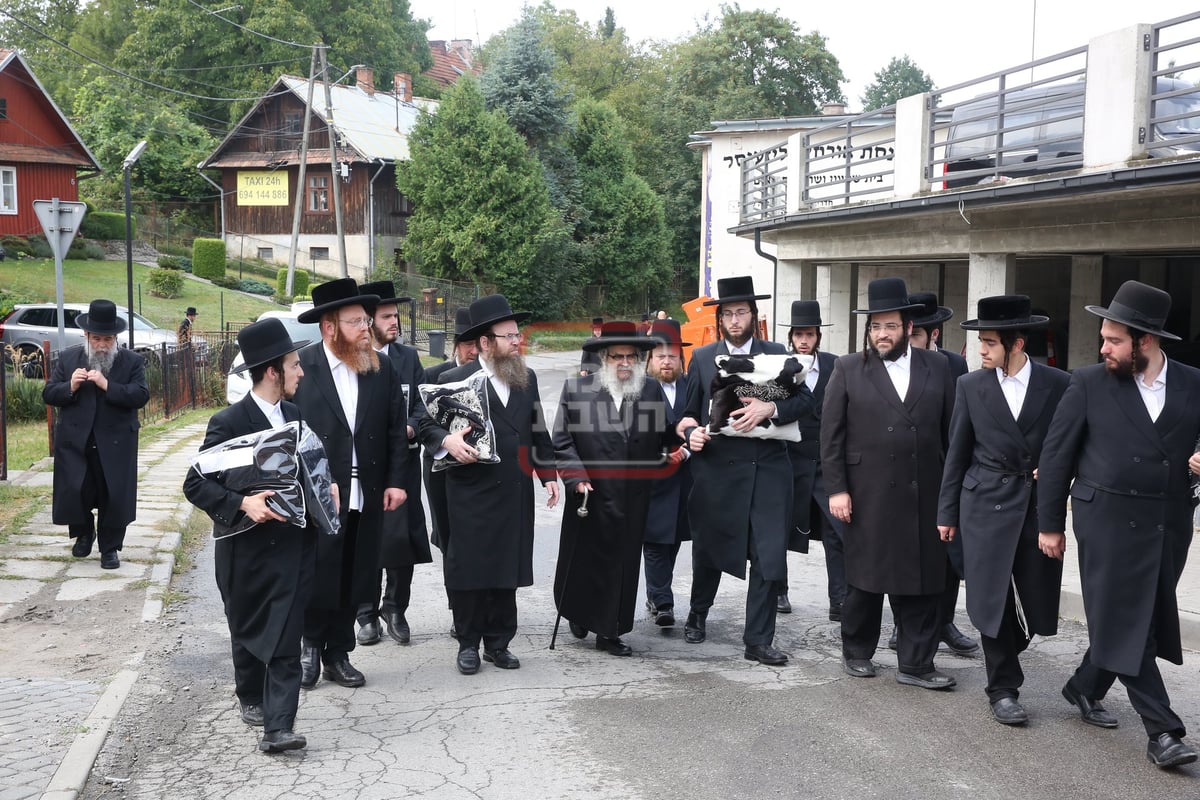 האדמו"ר מסאטמר בתפילת רבים בליזענסק