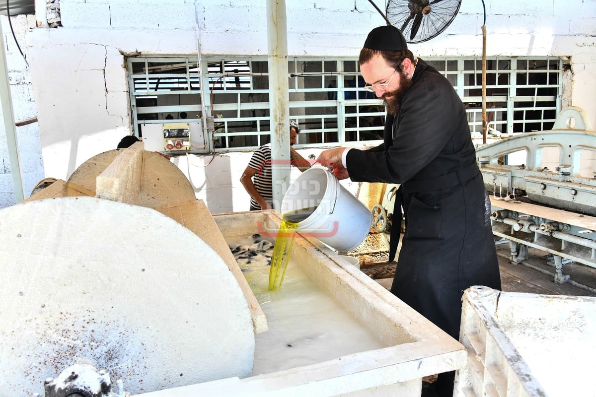 האדמו"ר משבט הלוי בסיור במפעל עיבוד עורות לתשמישי קדושה