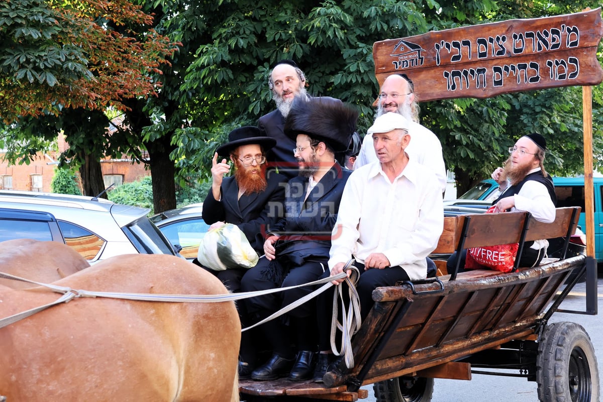 הילולת הרה"ק רבי שלמה מקארלין הי"ד זיע"א בעיר לודמיר באוקראינה