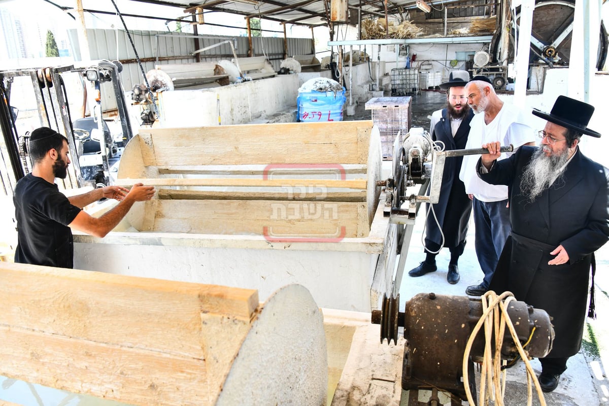 האדמו"ר משבט הלוי בסיור במפעל עיבוד עורות לתשמישי קדושה