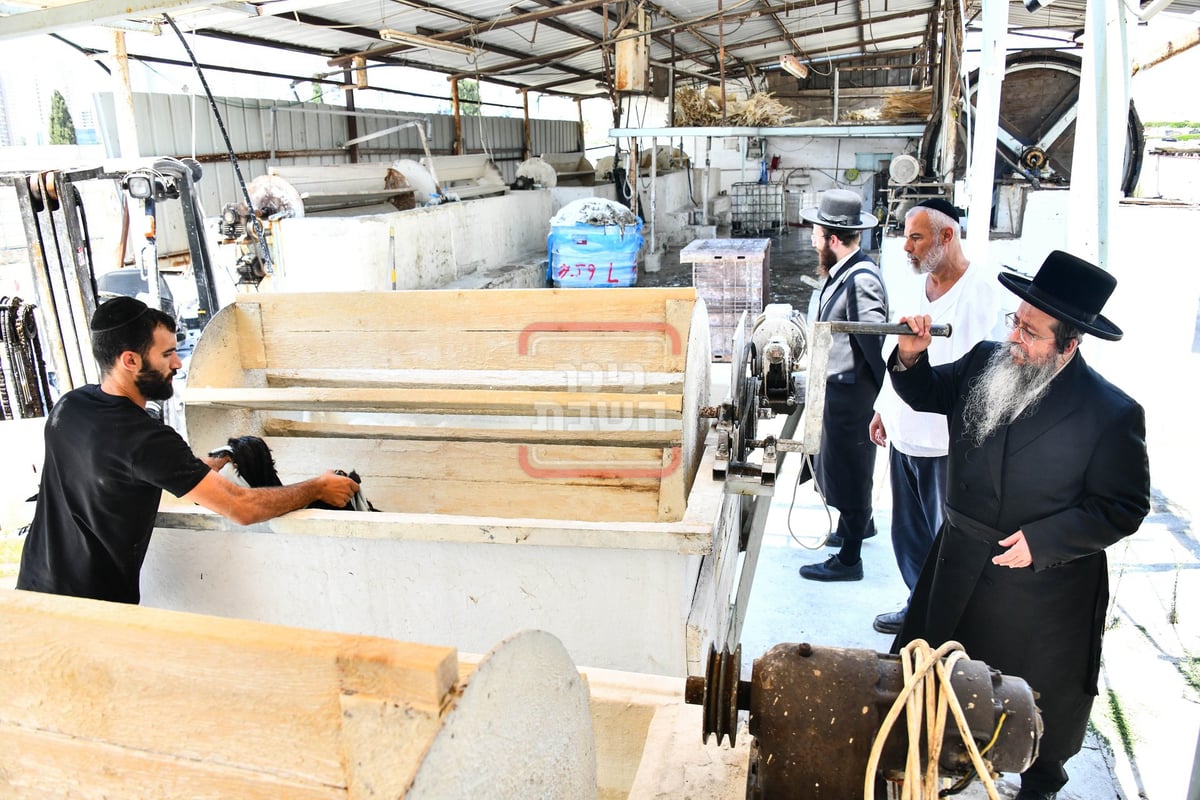 האדמו"ר משבט הלוי בסיור במפעל עיבוד עורות לתשמישי קדושה