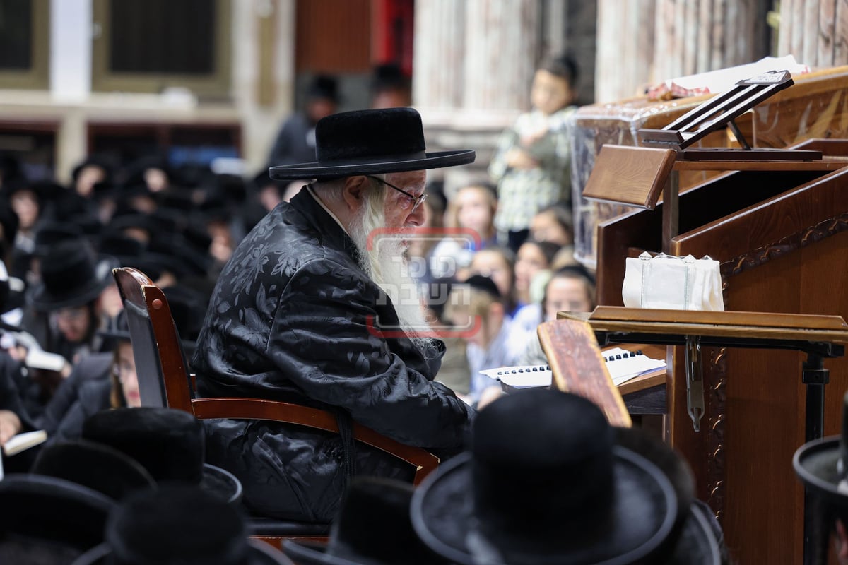 תשעה באב בחצה"ק צאנז