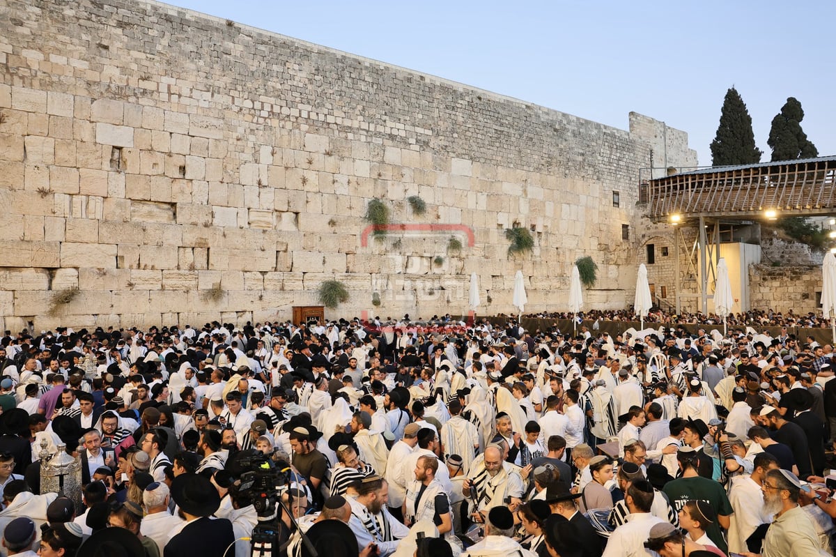 רבבות ב'כותל המערבי' בתשעה באב