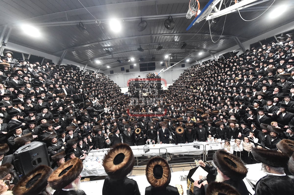 מוצאי שבת נחמו בחצה"ק סקולען ירושלים