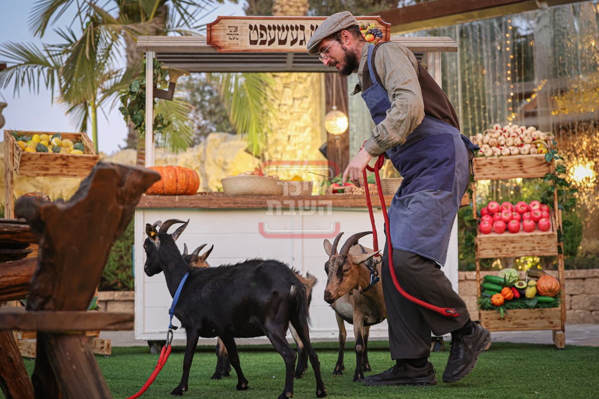 דינר לטובת קופת החסד ד'גור בערד