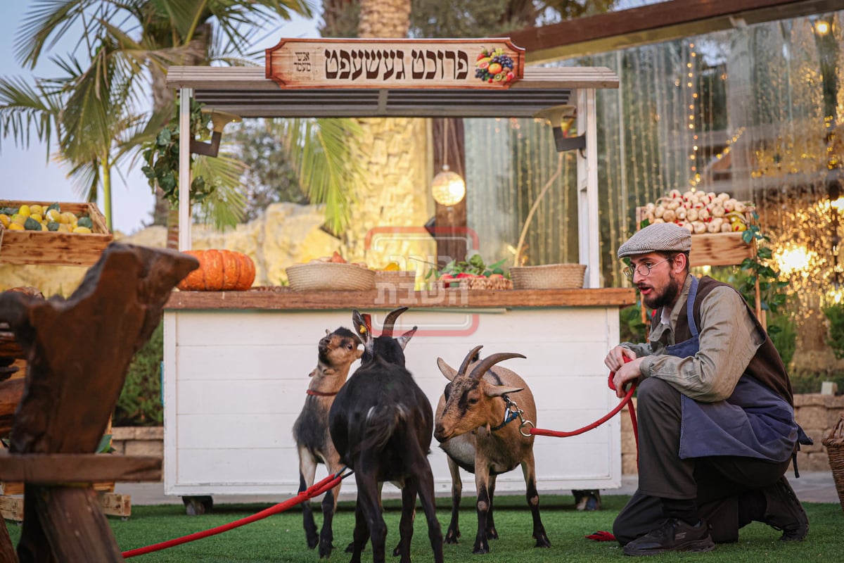 דינר לטובת קופת החסד ד'גור בערד