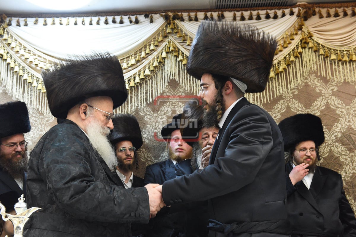 שמחת בית סטריקוב - זוויעהיל - שערי הוראה 