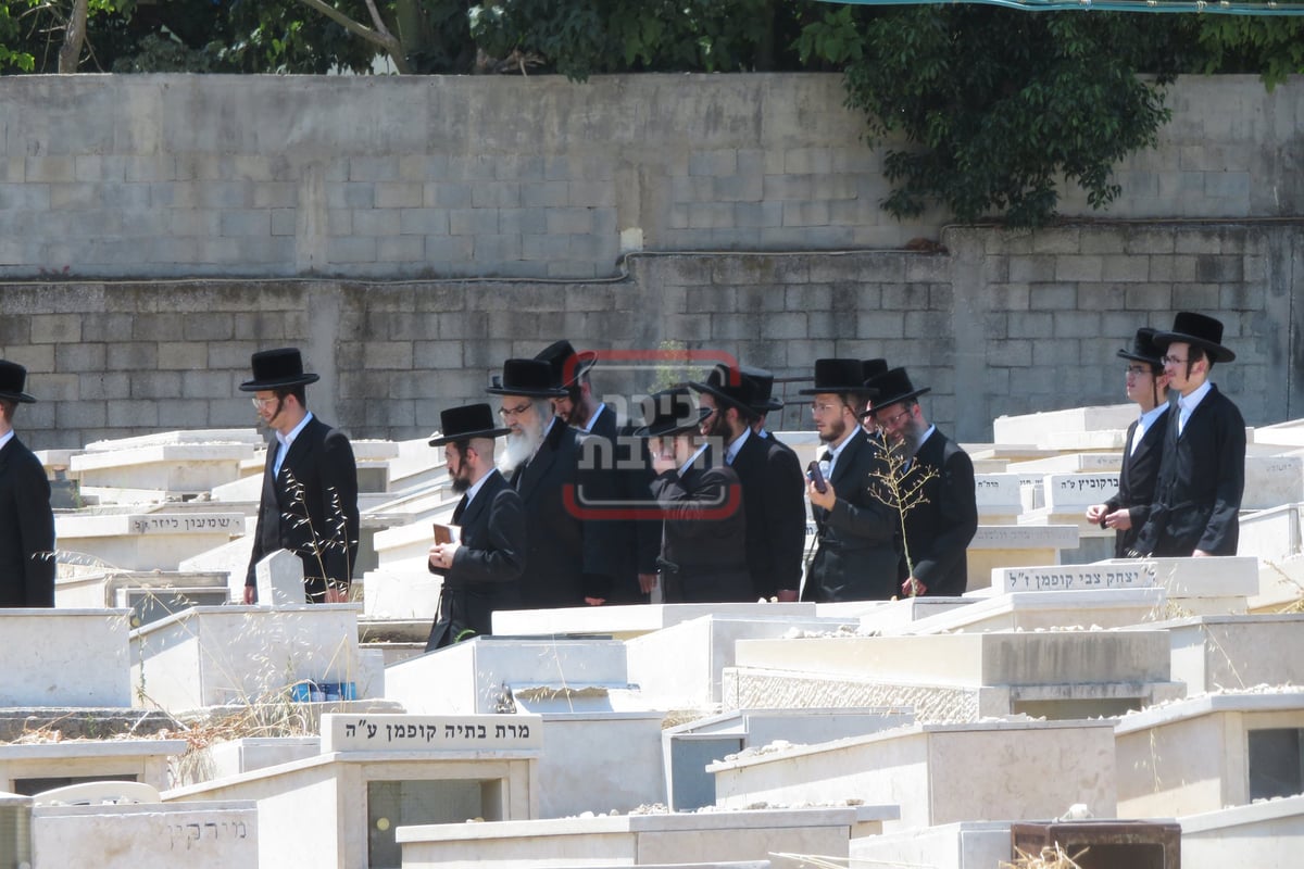 האדמו"ר מויז'ניץ קיימישע בבית החיים ויז'ניץ בבני ברק